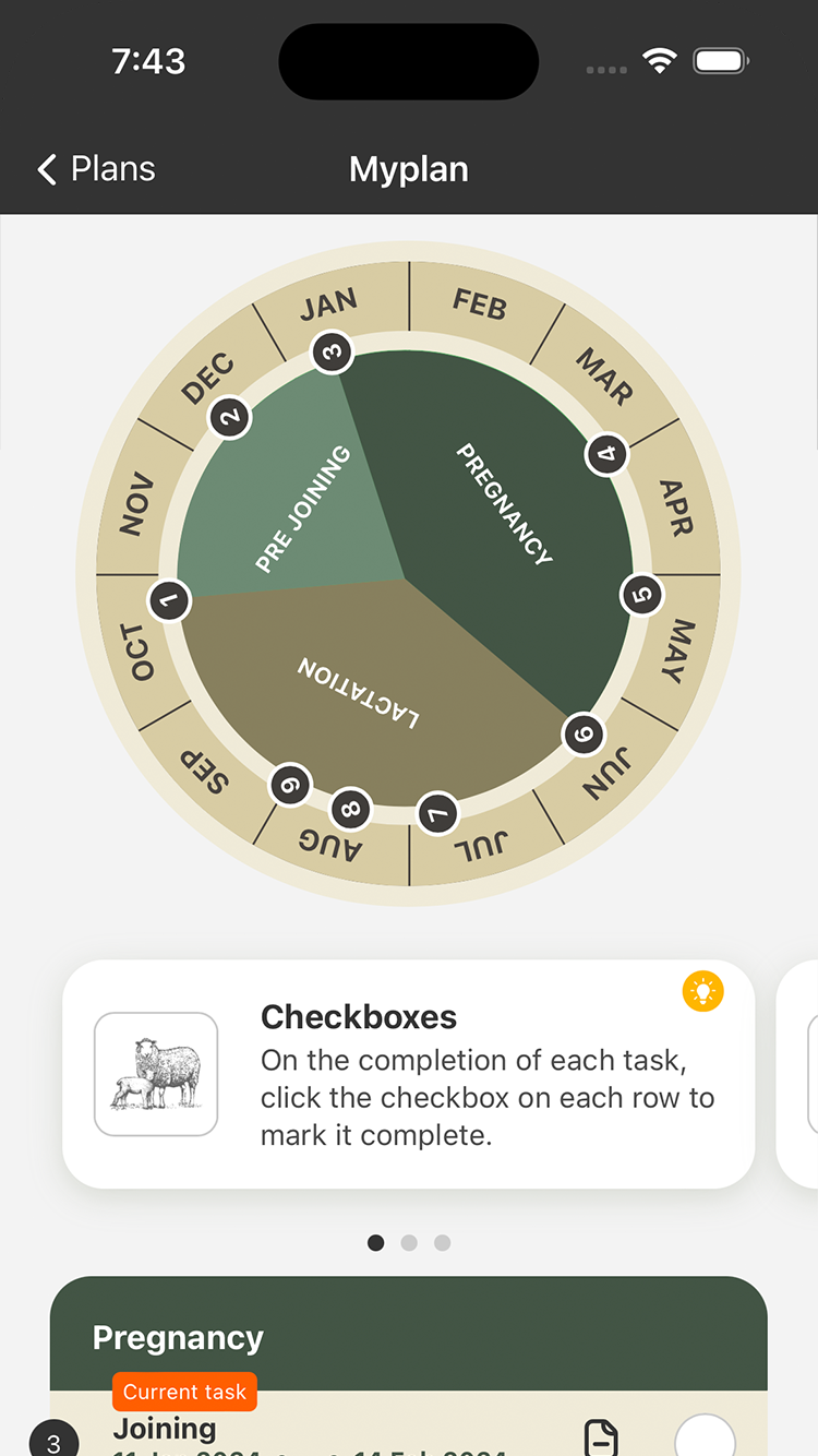 Lambing Planner 