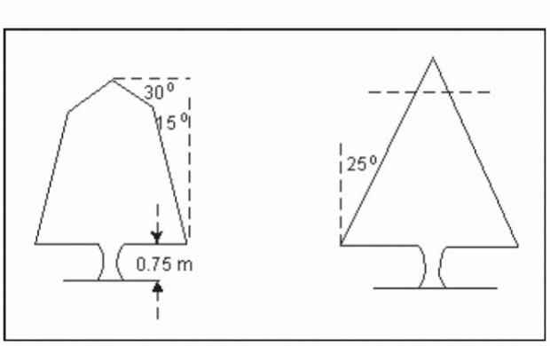 Figure 1 Two styles of side hedging and flat topping