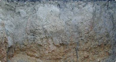 Photograph of a dispersive soil profile in a pit showing the mottled zone below the dense grey clay top layer.