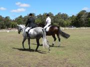A grey horse and a dark brown horse are being ridden by ladies training for a show.