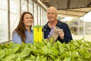 The Western Australian community has rallied to support surveillance efforts for the insect pest the tomato potato psyllid (TPP) and the spring adopt-a-trap program is now fully subscribed.
