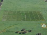 An aerial shot of the National Frost Initiative trial site at Dale, Western Australia