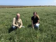 Crop production and crop protection agronomists in a paddock