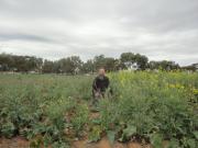 DAFWA Research Officer Martin Harries sitting in Geraldton Aphid Trial