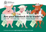 Are your livestock fit to trade
