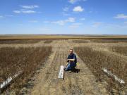DPIRD researcher Martin Harries measuring yield loss after harvest