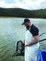 DPIRD technician releasing trout Harvey Dam