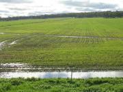 Waterlogging near Frankland