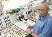 DPIRD taxonomist with insect specimens