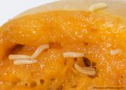 Medfly larvae