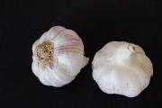 Garlic bulbs