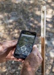 smart technologies are used to locate European wasp nests