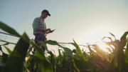 Farmer with smart device in paddock