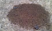 Shredded dung pad