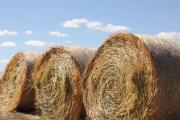 Large round hay bales against a bright blue sky
