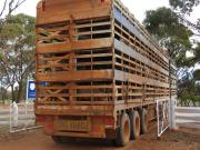 Semi trailer transport truck with four decks filled with sheep, driving out of the driveway out the farm gate with the back of the truck visible.