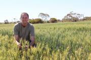 Researcher Dion Nicol at the Merredin Research Station 