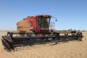 Harvesting short, patchy crops