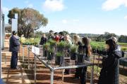 Graduate program participants inspect a range of trial crops as part of a regional tour