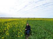 Very early sown canola variety trial at Wongan Hills