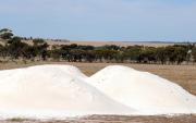 Truckloads of lime sand in a paddock waiting to be spread to manage soil acidity