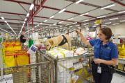 Female Quarantine officer holding onto leash of detector dog which is searching through parcels inspecting parcels at the Australia Post express mail centre.