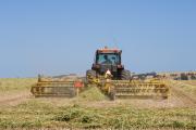 Image of cereal hay being raked 