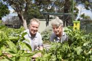 Kensington Secondary School Deputy Principal Eugene Maguire and Department of Agriculture and Food officer Don Telfer check over the school community vegetable garden for tomato potato psyllid.