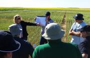 Christine Zaicou-Kunesch discussing wheat research findings at the NAG field day