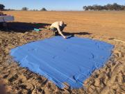 DPIRD officer in a paddock with a large squar of blue sand spread on the ground. 