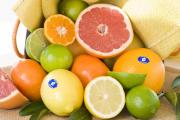 Healthy citrus fruit including oranges, limes, lemons and grapefruit