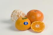WA mandarins