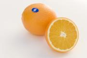 Healthy Western Australian orange