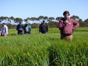 Man standing in a green paddock with people behind