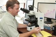 Pathologist looking at microscope and slide