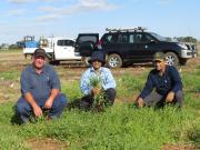 DAFWA technical officer Paul Bartlett (left), principal research officer Dr Abul Hashem and research officer Dr Mohammad Amjad inspect the efficacy of various herbicides on button grass population on Critch family’s property, Mullewa.