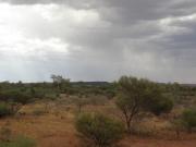Photograph of rain falling on pastoral country in the Pilbara