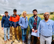 International visitors looking at oat agronomy with DPIRD's Kerry Regan and Dr Darshan Sharma