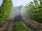 Both the calibration of orchard sprayers and making the right choice of product to spray are included in the orchard spray guide