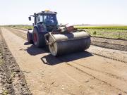 Department of Primary Industries and Regional Development researchers have examined compacting the soil surface with a roller to reduce stable fly breeding. Stable fly research - roller