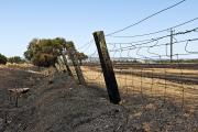A fence burnt by a fire in a blackened paddock. A fence burnt by a fire in a blackened paddock.