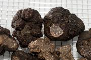 Black truffles