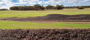 Undanooka Soil Project - Compost, Pasture, Eucalypts.jpg