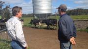 DPIRD vet and producer at dairy property with NAMP trap