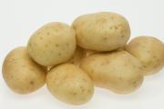 Close up of white star potatoes on white background