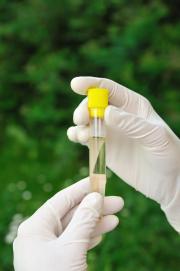 Test tube containing water held in gloved hand.