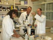 Brown Besier, Jill Lyon and Darren Michael from the DAFWA team producing the Barber’s Pole vaccine in the laboratory