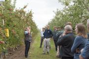 Development 0fficer Susie Murphy-White presenting points of interest to producers during an orchard walk in Manjimup