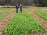 two men inspecting pasture trial