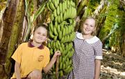 children in a banana plantation